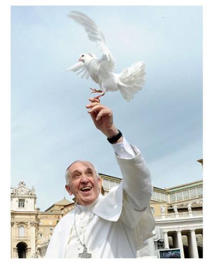 10563081_682658695143226_2090995605082611983_n (1).jpg