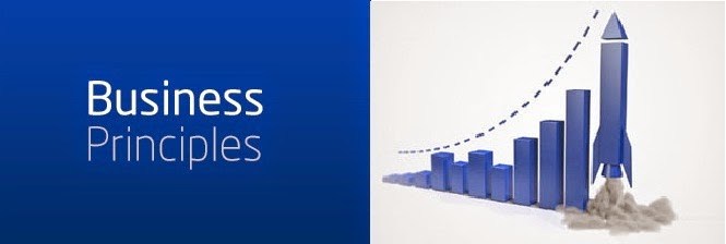 3%2BBusiness%2BPrinciples%2BWhat%2BIs%2BYour%2BObjective%2BIn%2BBusiness.jpg