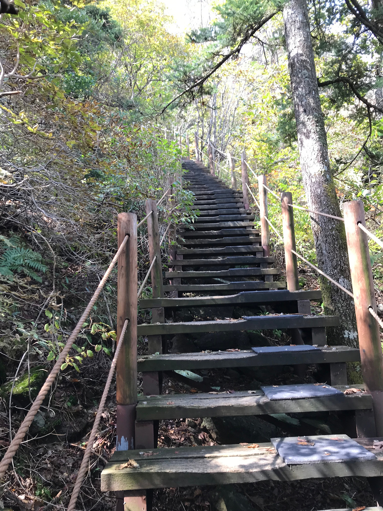 5. 삼도봉 계단 꺅.jpg