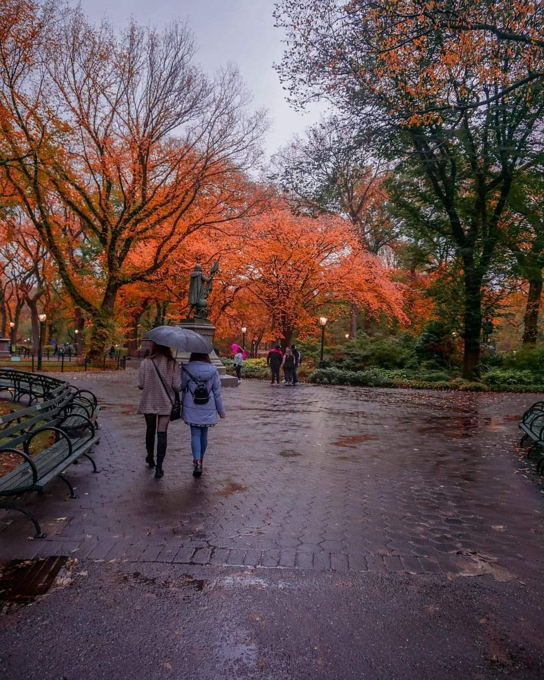autumn central park 2.jpg