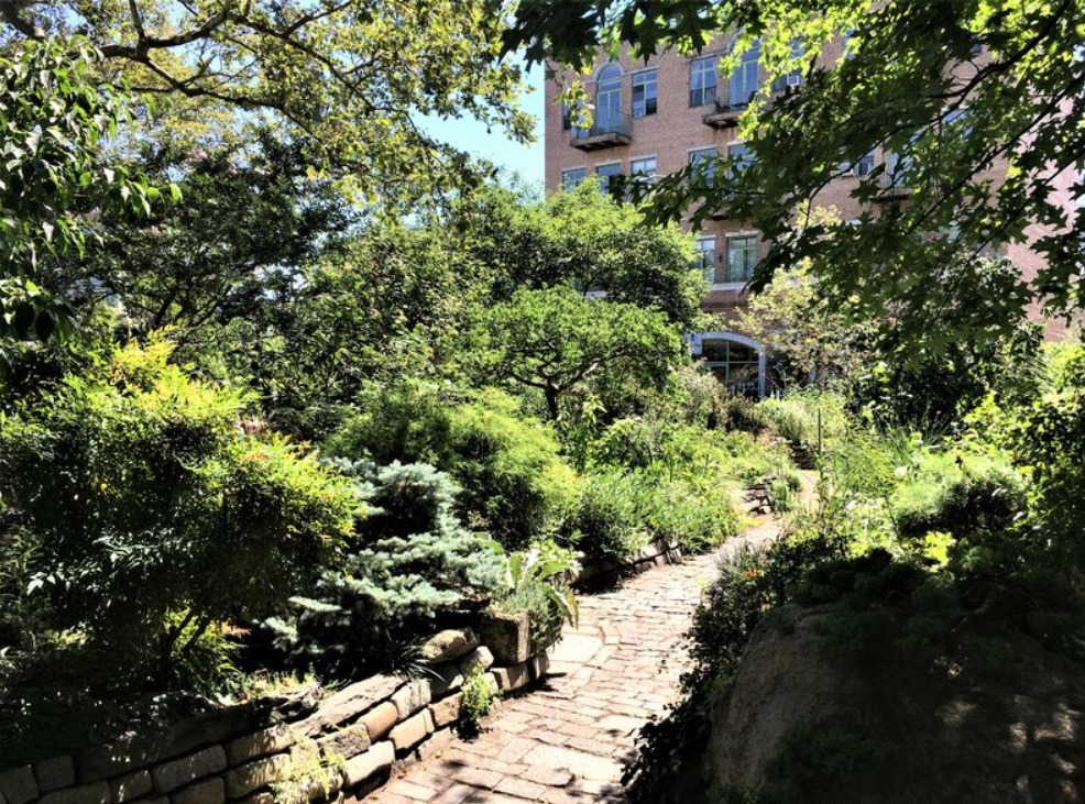 Williamsburg 2 (4).jpg