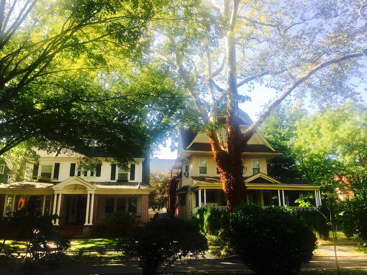 Brooklyn. Exploring Ditmas Park 4.jpg