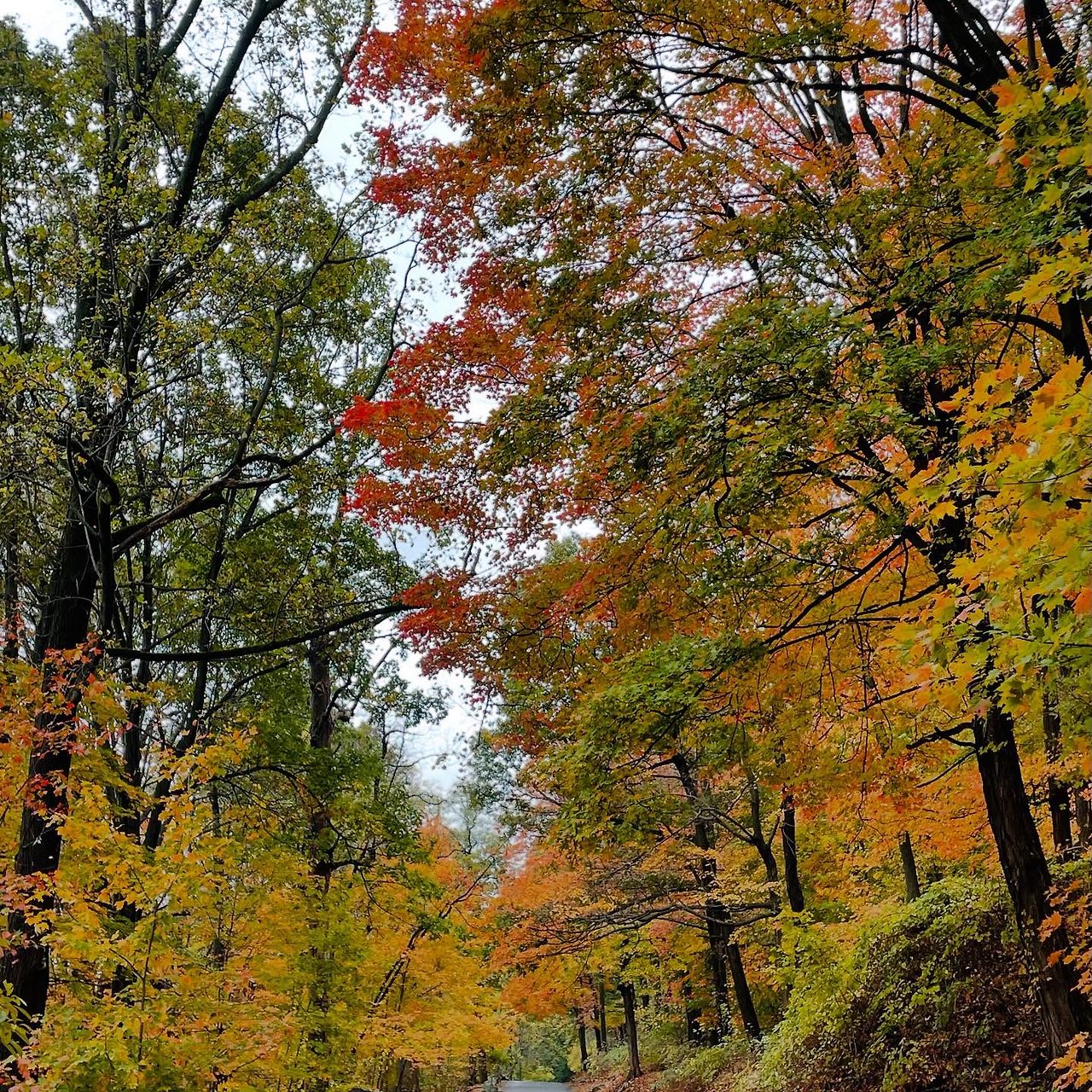 State Line Lootout Scenic View.jpg