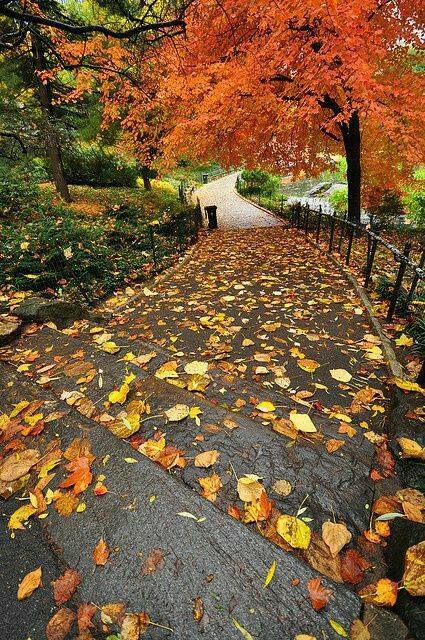 Autumn 2014 (12).jpg