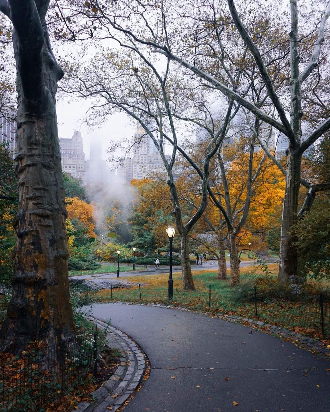 autumn central park 1.jpg