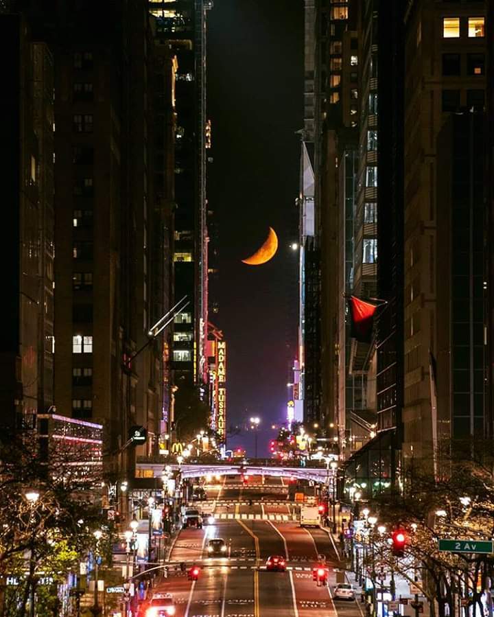 42 Street 05 03 2020.jpg