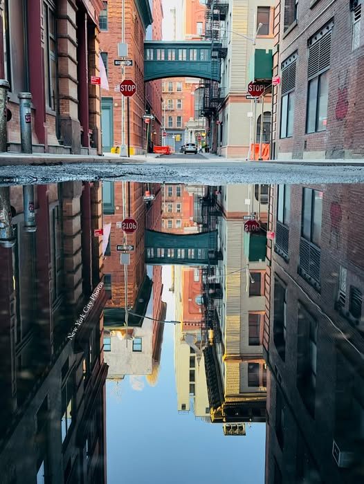 Tribeca, NYC's Staple Street.jpg