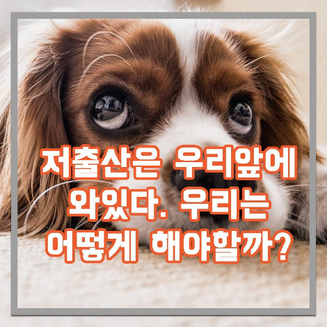 저출산에 대해.jpg