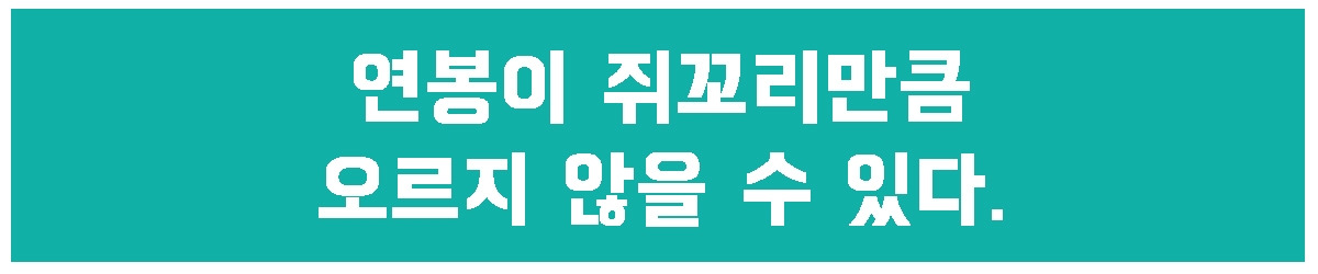 3. 쥐꼬리 연봉.jpg