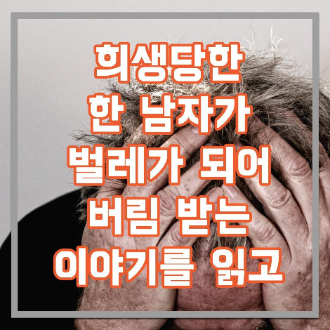 변신 카프카.jpg