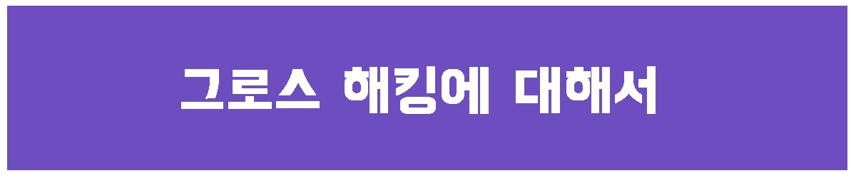 1. 그로스 해킹에 대해서.jpg