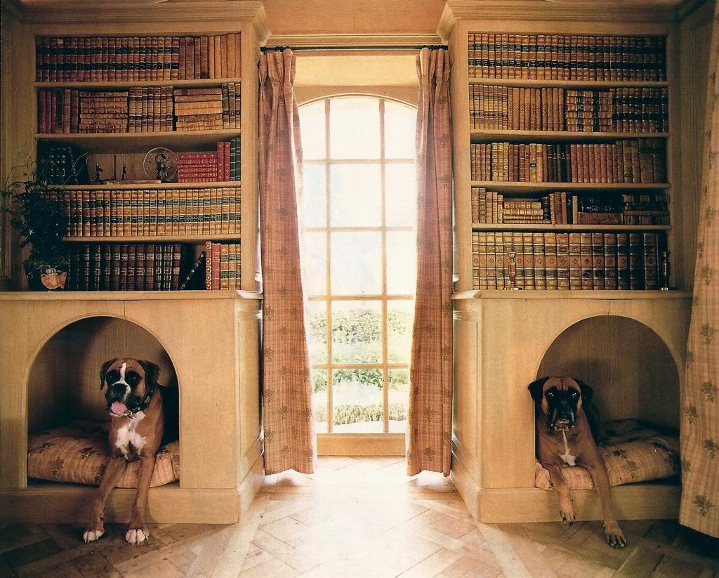 dog-bookcases.jpg