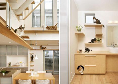pet-friendly-amazing-home-design.jpg