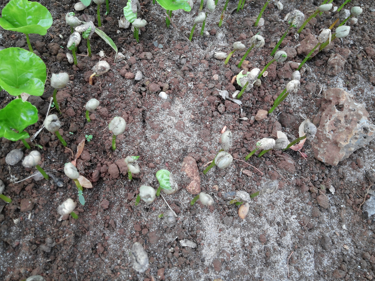 다운로드 (7).jpg