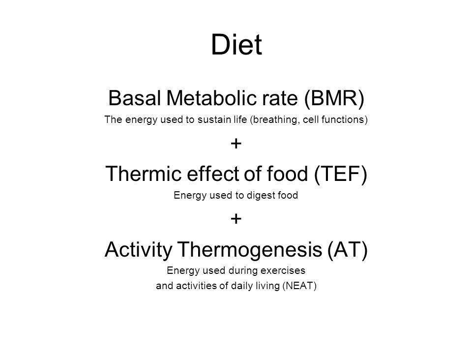 다이어트 TEF.jpg
