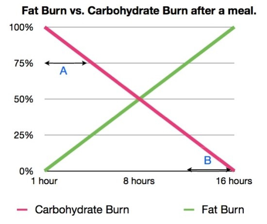fat-burn-graph-3.jpg