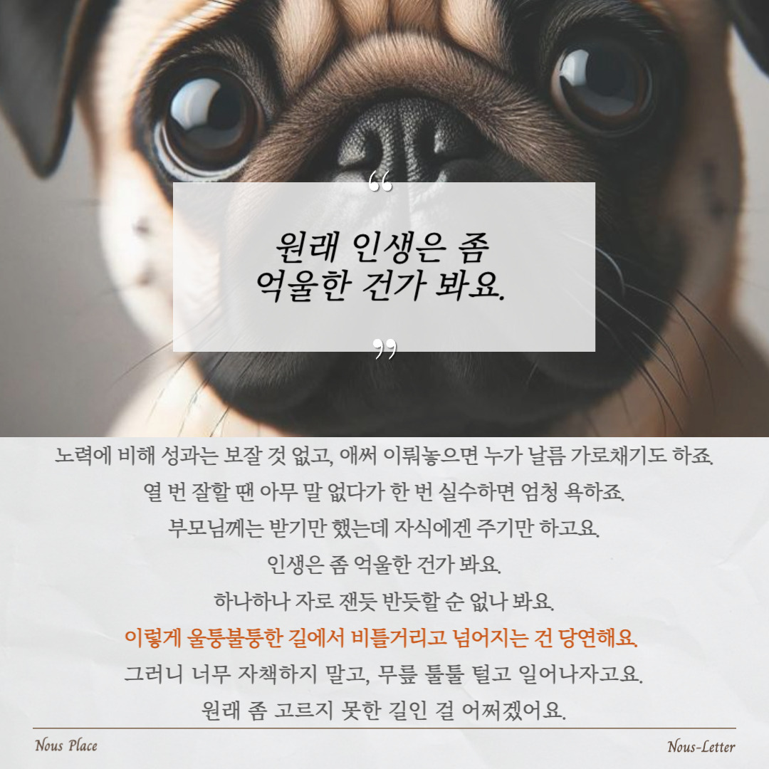 누스레터-019 (1).jpg