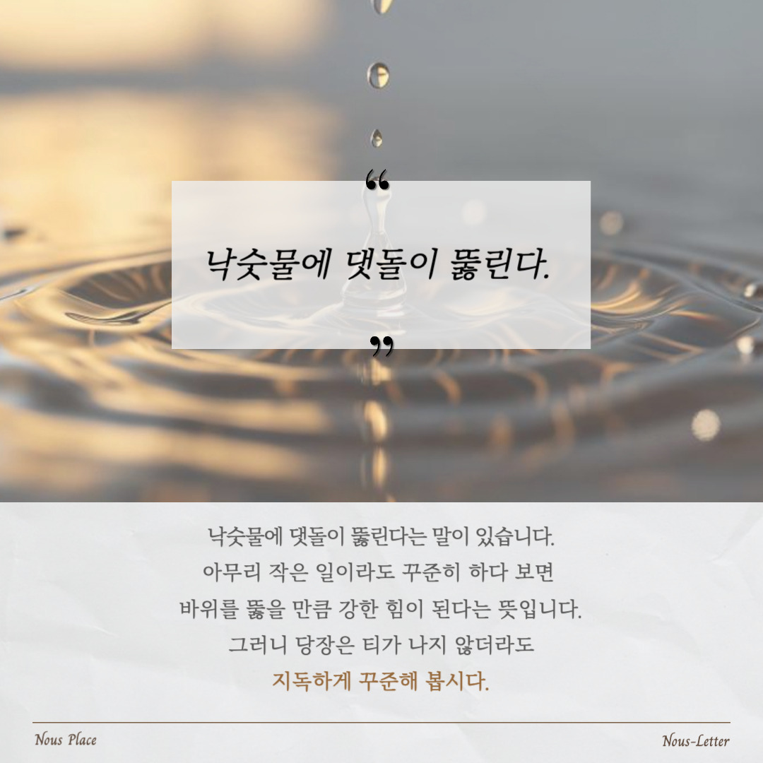 누스레터-022 (1).jpg