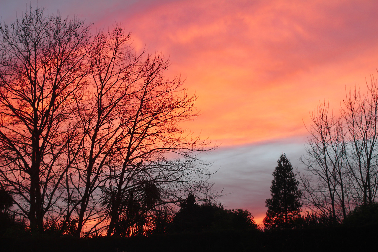 뉴질랜드 (52).jpg