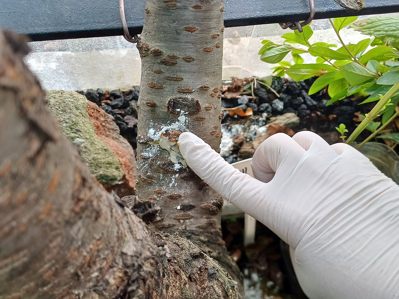 0704 7월찻집일지 (3).jpg