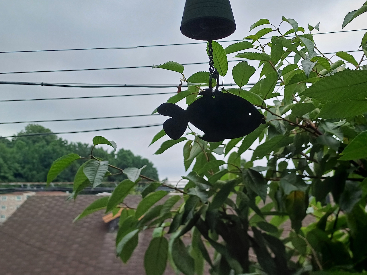 0704 7월찻집일지 (4).jpg