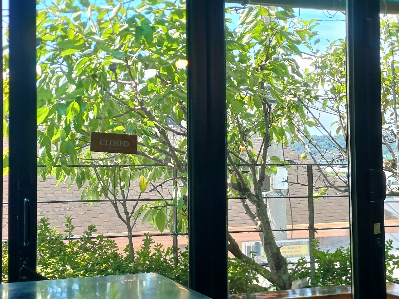 0823 찻집일지 (2).jpg