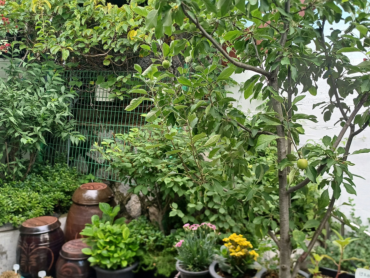 0628 찻집일지_작은정원 (2).jpg