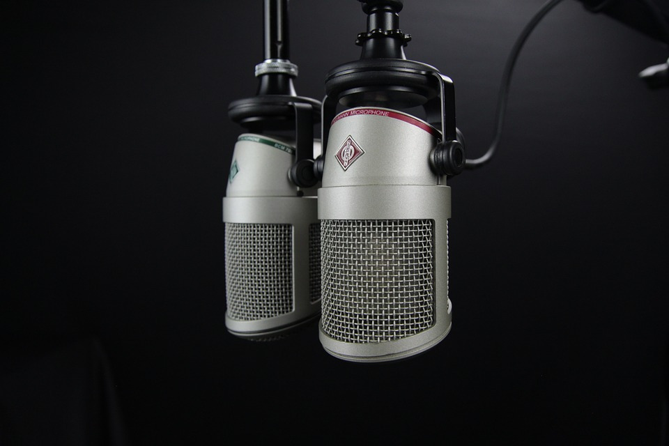 microphone-772577_960_720.jpg