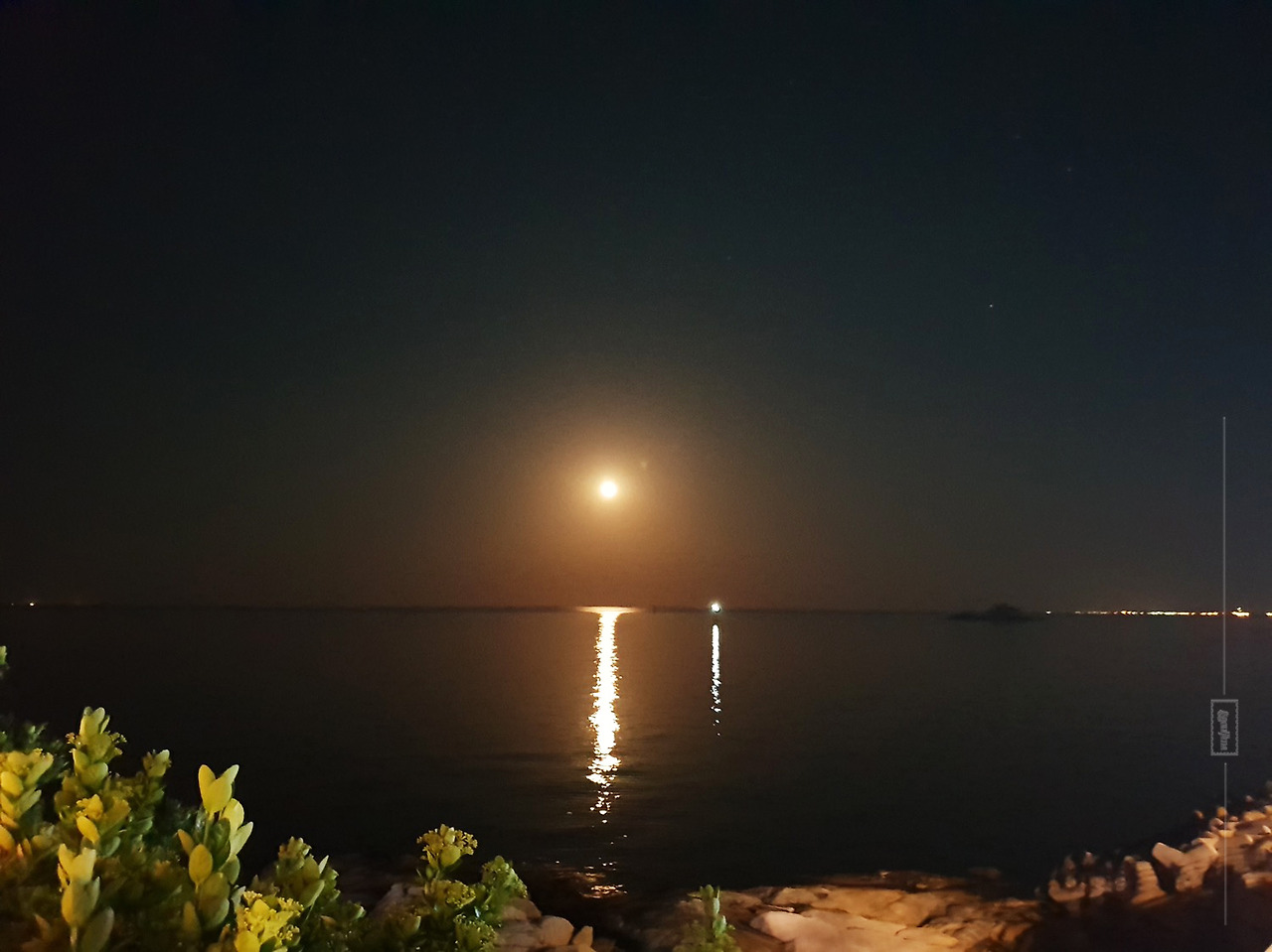 P20180531_214930058_6CE63A40-5111-4AF8-8ABA-7149A7DDA71A 복사.jpg