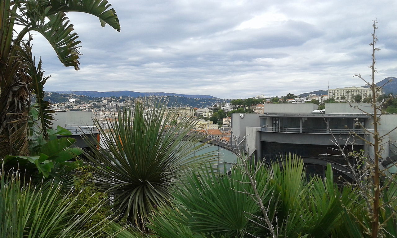 20150929_150849 (1).jpg