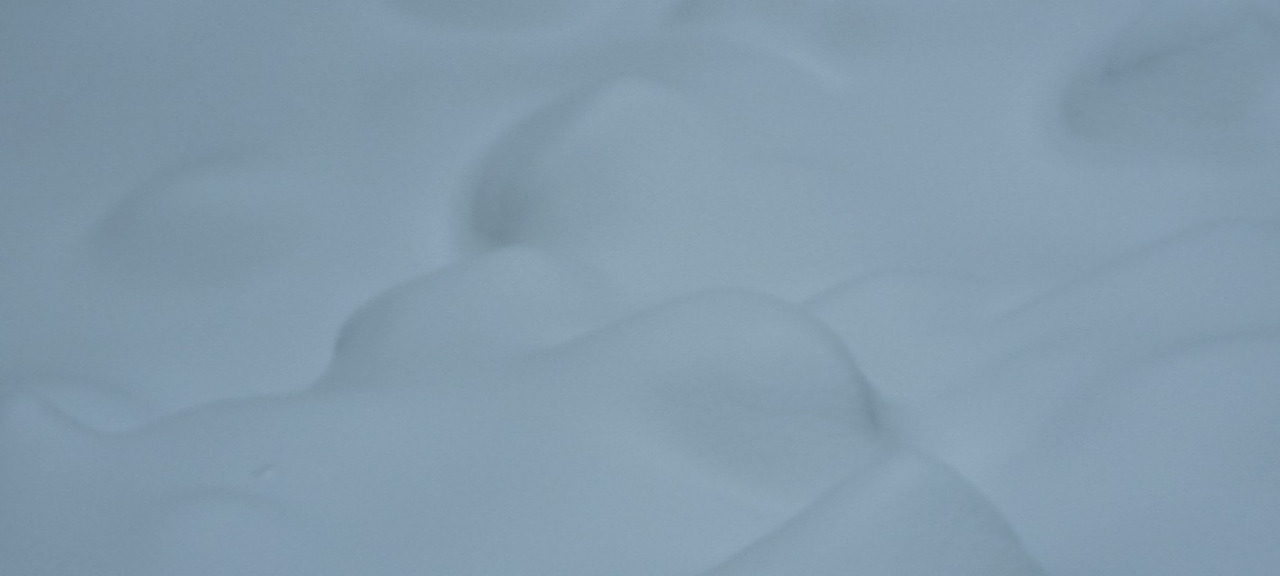 4_ba7Ud018svcjje791avtmpf_pzcah1 (1).jpg