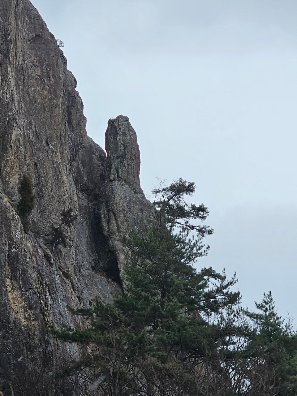 5_j6eUd018svc1teengsgn8rbp_10hh2b (1).jpg