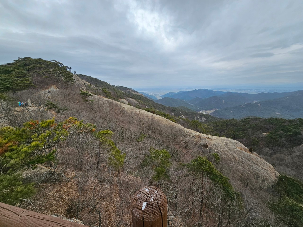 5_i6eUd018svc14kg6l3jppty3_10hh2b (1).jpg