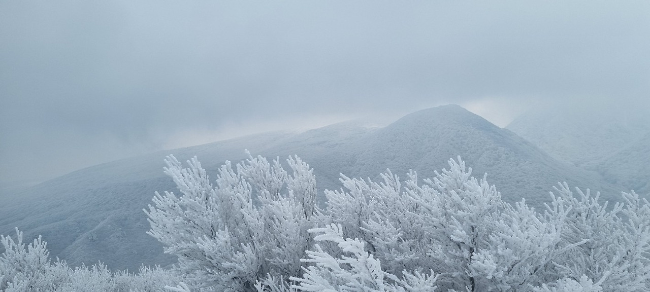 c_9a6Ud018svc2ugcbl6m26z7_pzcah1 (1).jpg