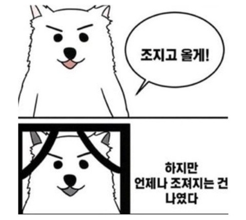 조져지는건나였다.jpg