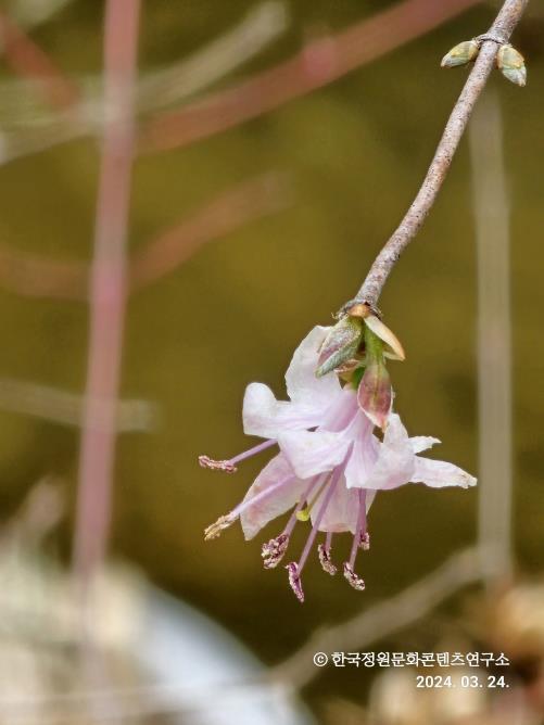 안동 만휴정 01.jpg
