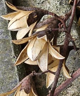 안동 만휴정 02.jpg