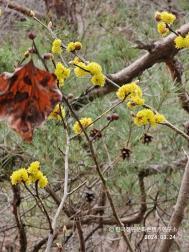 안동 만휴정 04.jpg