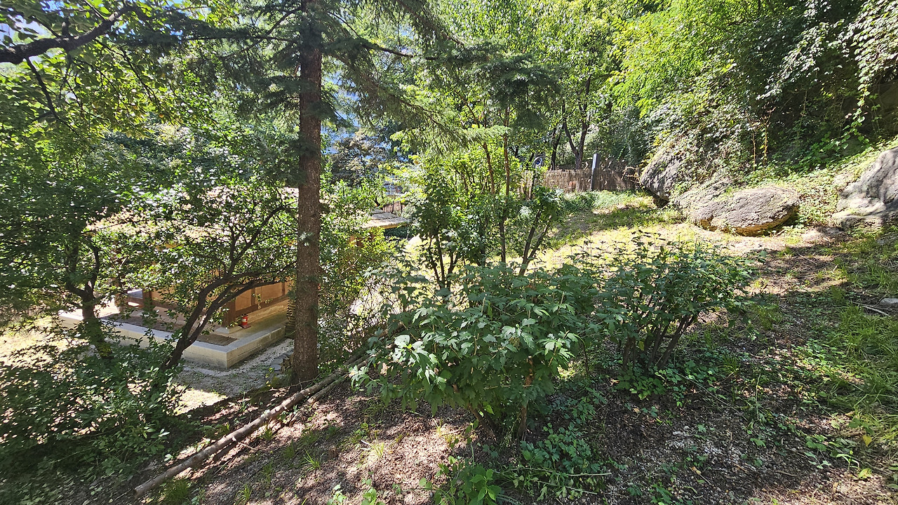 낙산 비우당 원림 - 전경-crop.jpg