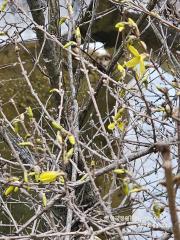 안동 만휴정 03.jpg