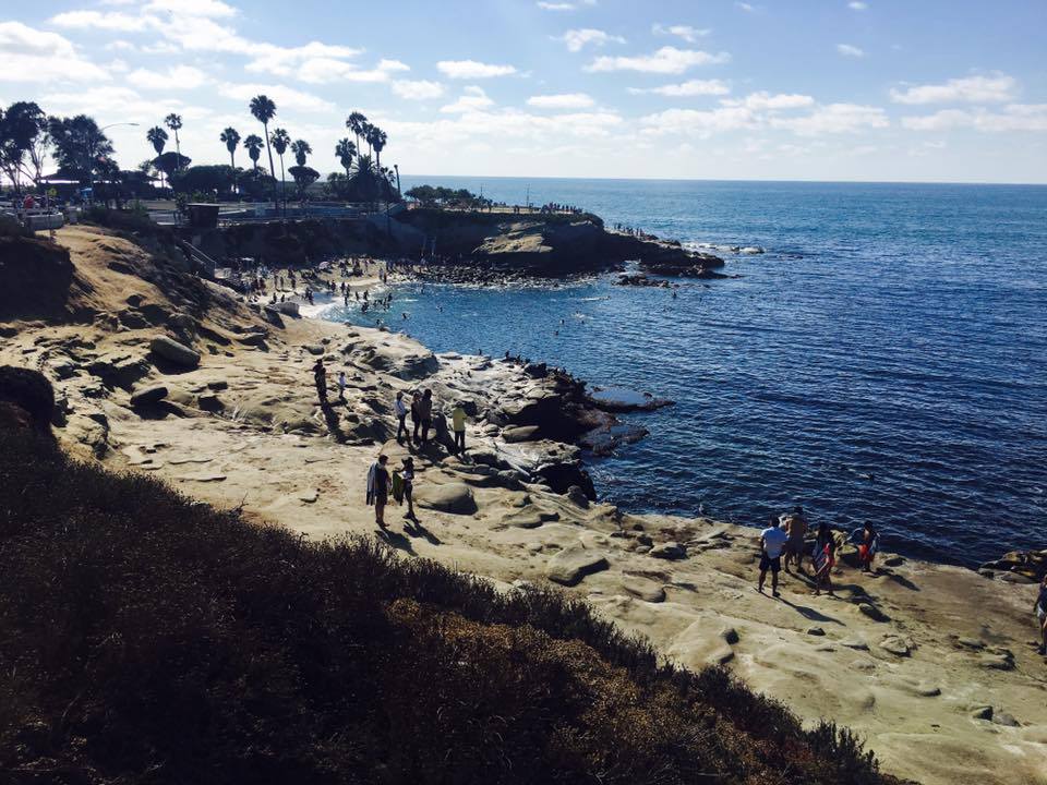 영어칼럼 (7).jpg