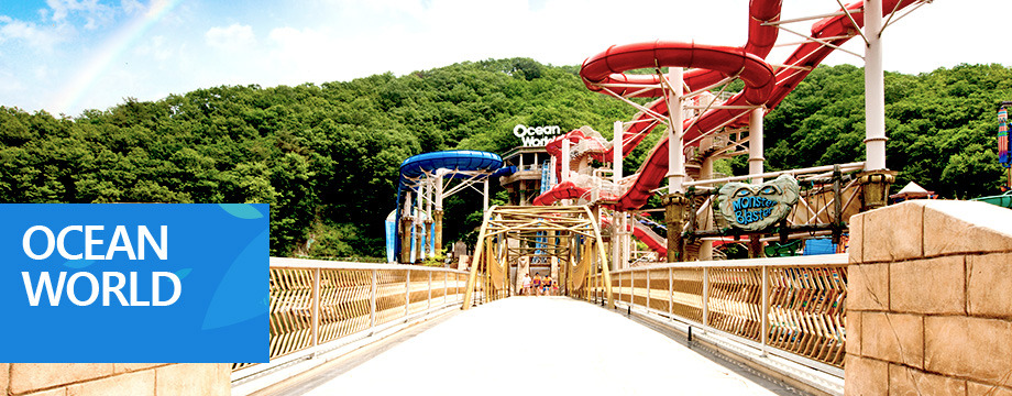 외국인모임 (3).jpg