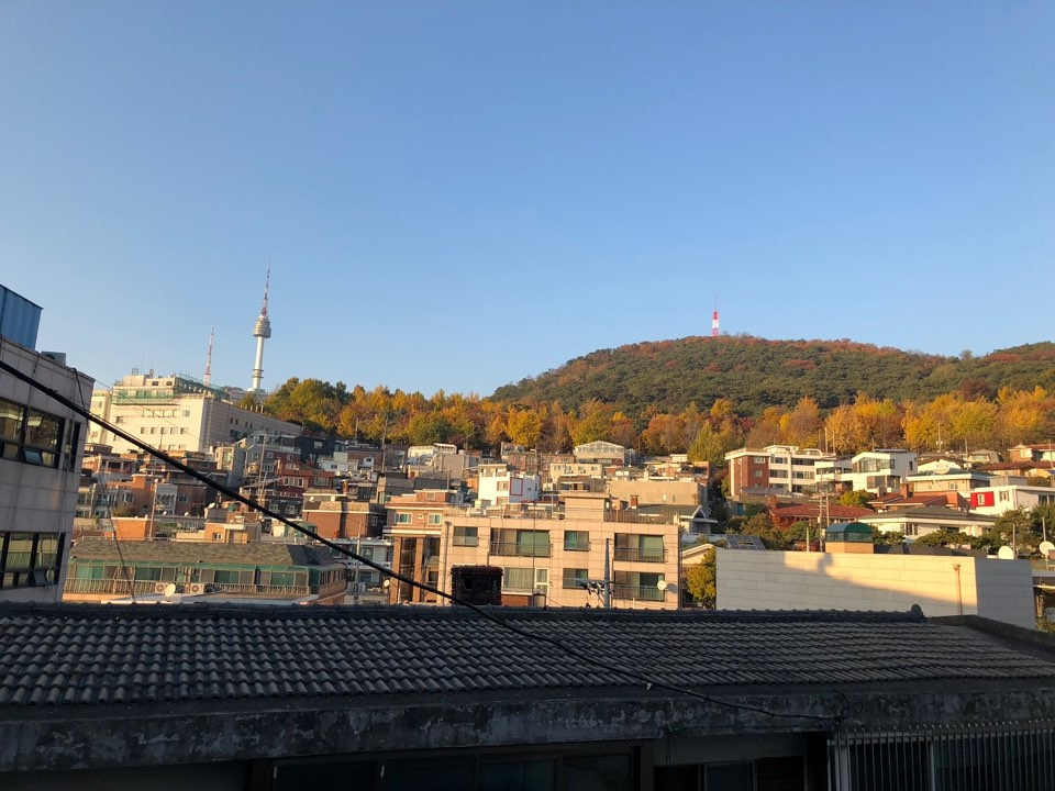 한국 외국인.jpg