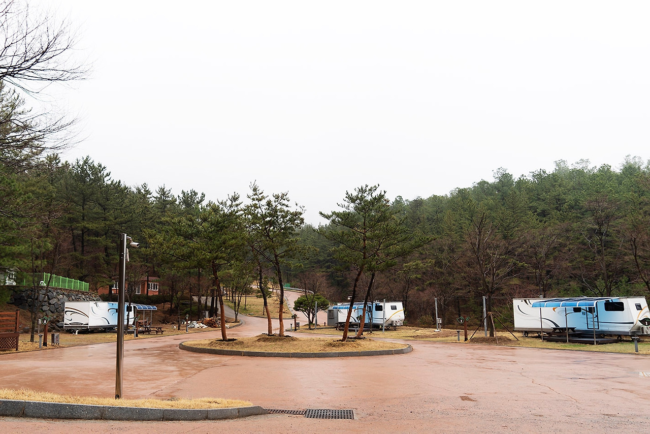 백운산 자연휴양림_오토캠핑장.jpg