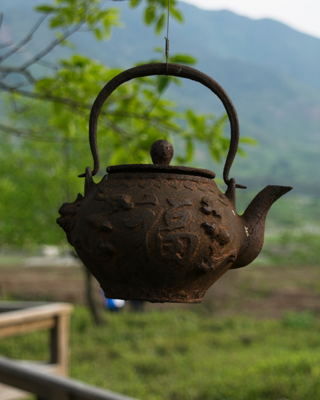 하동 다원 풍경 2.jpg