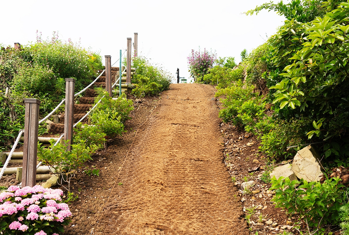 쑥섬 정원 길.jpg