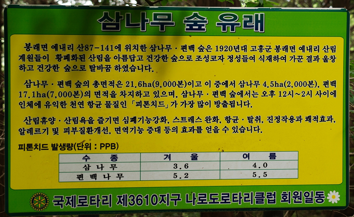 #13_나로도 편백숲.jpg