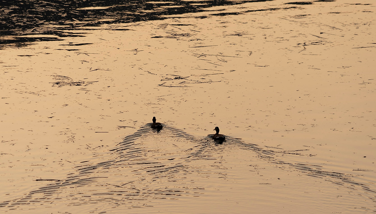 #장성호 수변길 2.jpg