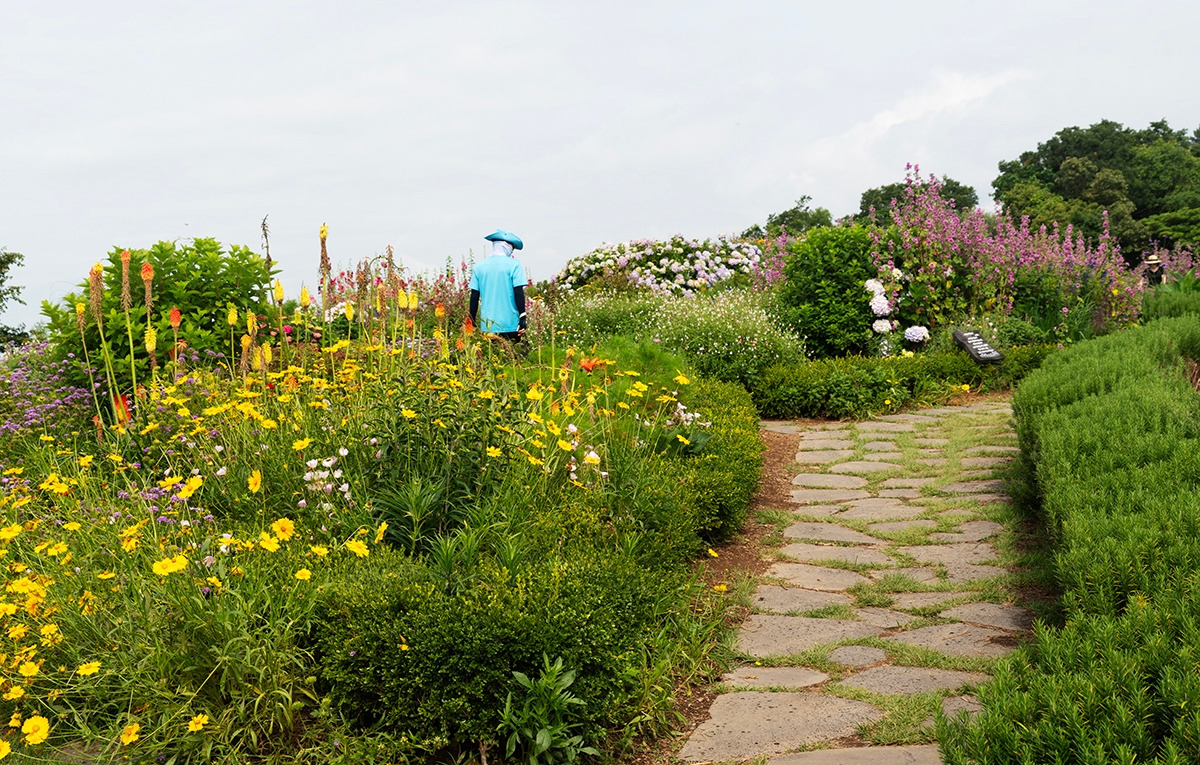 쑥섬 꽃 정원.jpg