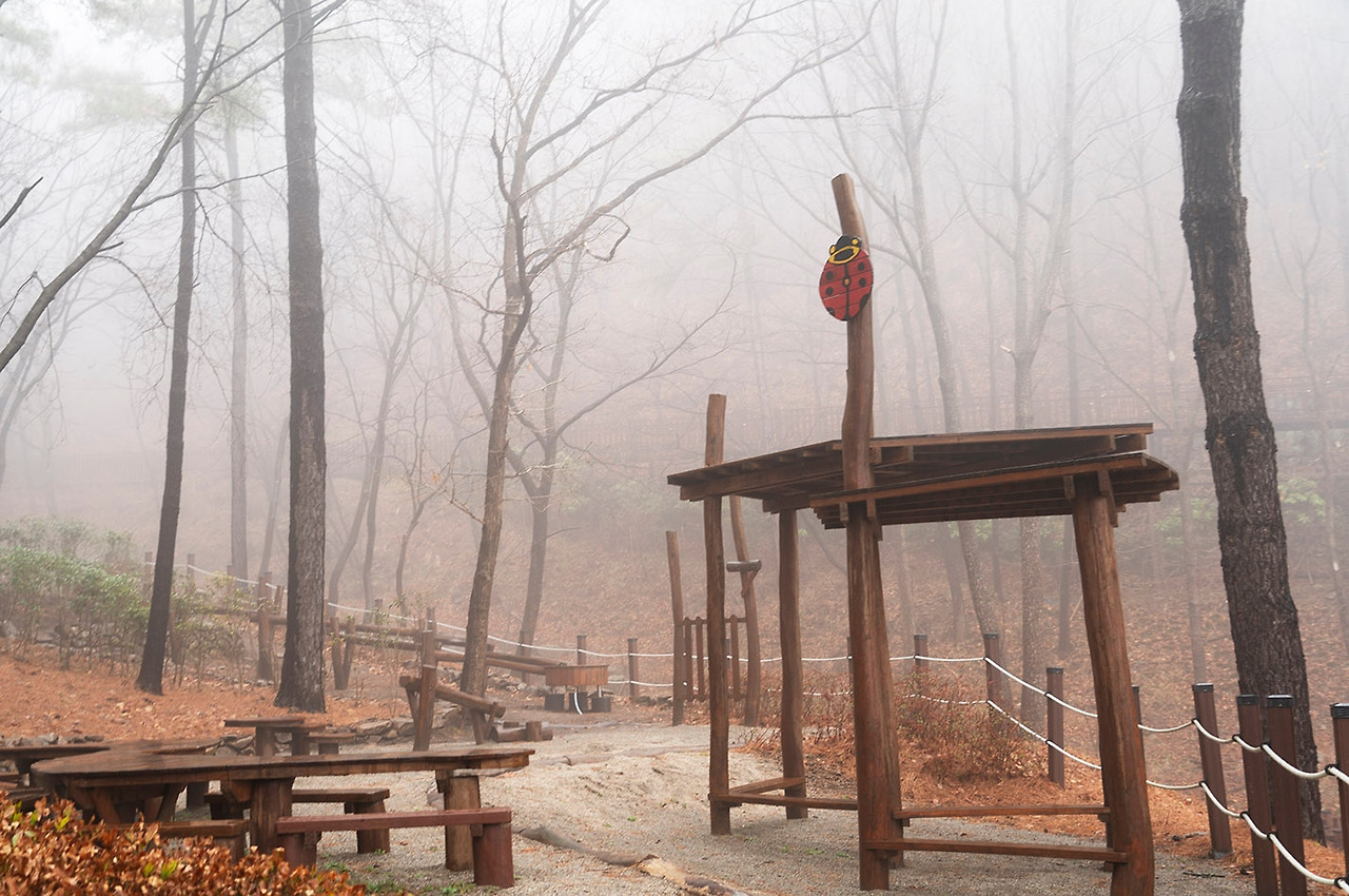 치유의 숲 풍경 1).jpg